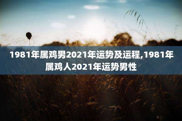 1981年属鸡男2021年运势及运程,1981年属鸡人2021年运势男性