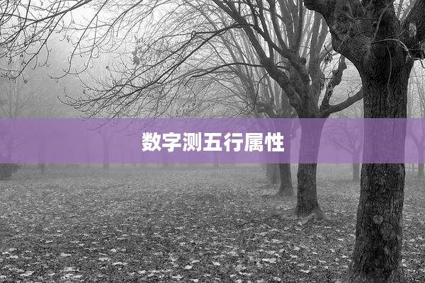 数字测五行属性
