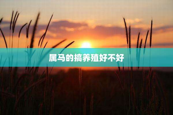 属马的搞养殖好不好