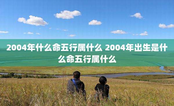 2004年什么命五行属什么 2004年出生是什么命五行属什么