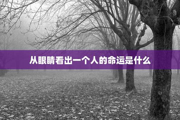 从眼睛看出一个人的命运是什么