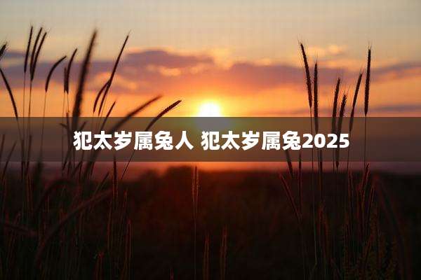 犯太岁属兔人 犯太岁属兔2025
