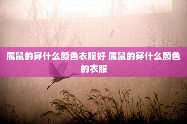 属鼠的穿什么颜色衣服好 属鼠的穿什么颜色的衣服
