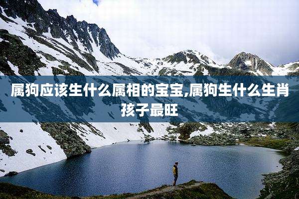 属狗应该生什么属相的宝宝,属狗生什么生肖孩子最旺