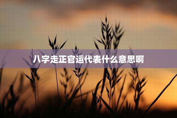 八字走正官运代表什么意思啊