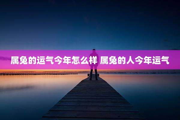 属兔的运气今年怎么样 属兔的人今年运气