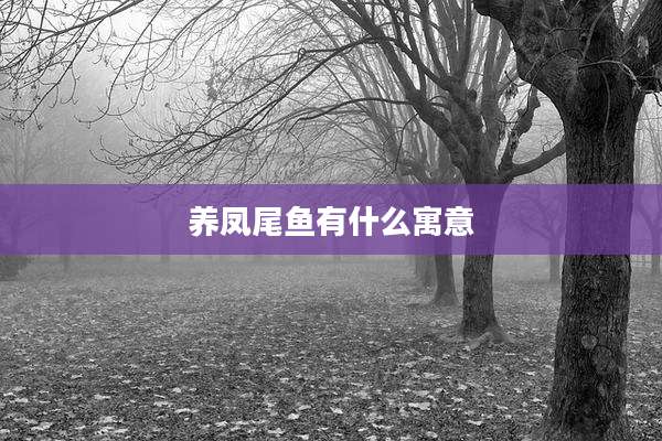 养凤尾鱼有什么寓意