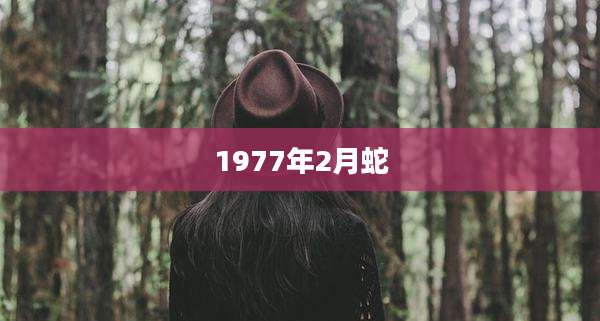 1977年2月蛇