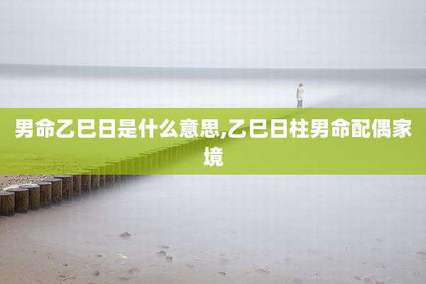 男命乙巳日是什么意思,乙巳日柱男命配偶家境
