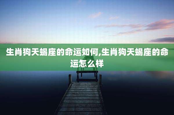 生肖狗天蝎座的命运如何,生肖狗天蝎座的命运怎么样