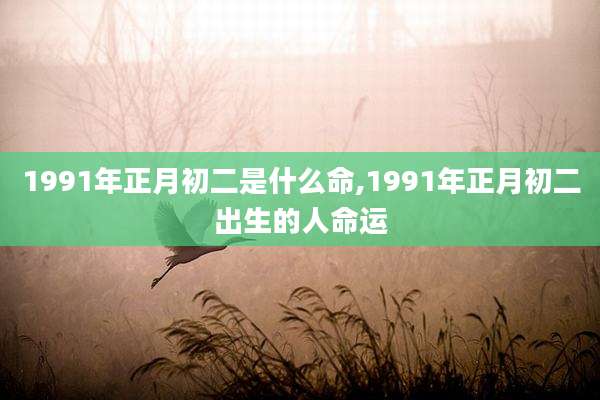 1991年正月初二是什么命,1991年正月初二出生的人命运