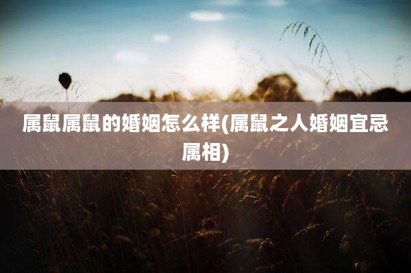 属鼠属鼠的婚姻怎么样(属鼠之人婚姻宜忌属相)