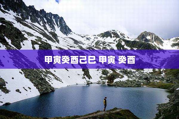 甲寅癸酉己巳 甲寅 癸酉