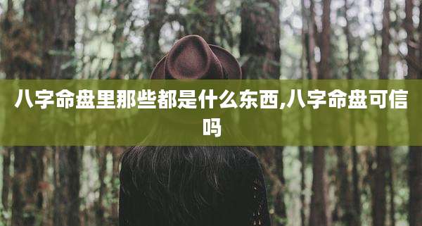八字命盘里那些都是什么东西,八字命盘可信吗