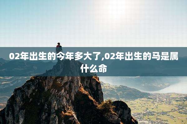 02年出生的今年多大了,02年出生的马是属什么命