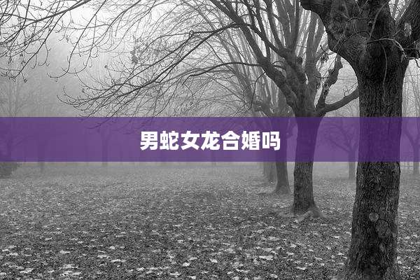 男蛇女龙合婚吗