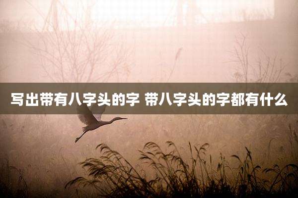 写出带有八字头的字 带八字头的字都有什么