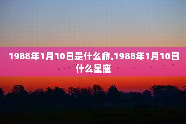 1988年1月10日是什么命,1988年1月10日什么星座