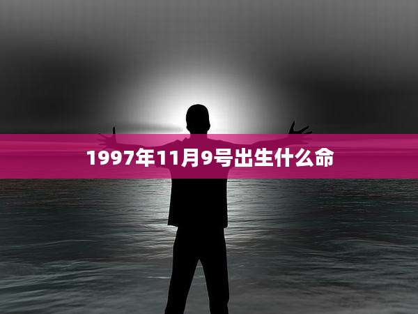 1997年11月9号出生什么命
