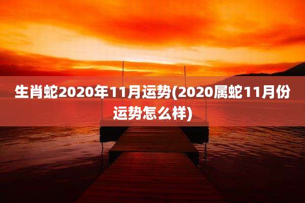 生肖蛇2020年11月运势(2020属蛇11月份运势怎么样)