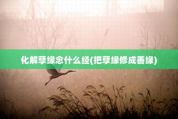 化解孽缘念什么经(把孽缘修成善缘)