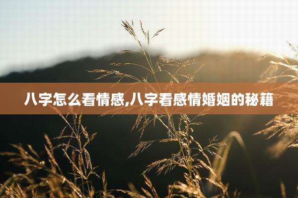 八字怎么看情感,八字看感情婚姻的秘籍