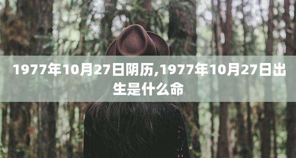 1977年10月27日阴历,1977年10月27日出生是什么命