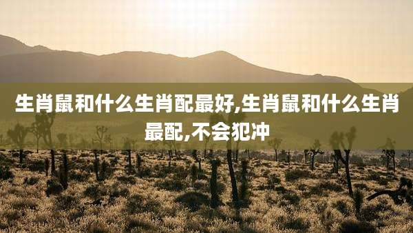 生肖鼠和什么生肖配最好,生肖鼠和什么生肖最配,不会犯冲