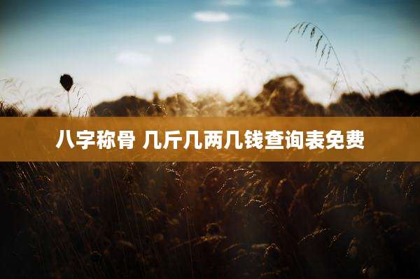 八字称骨 几斤几两几钱查询表免费