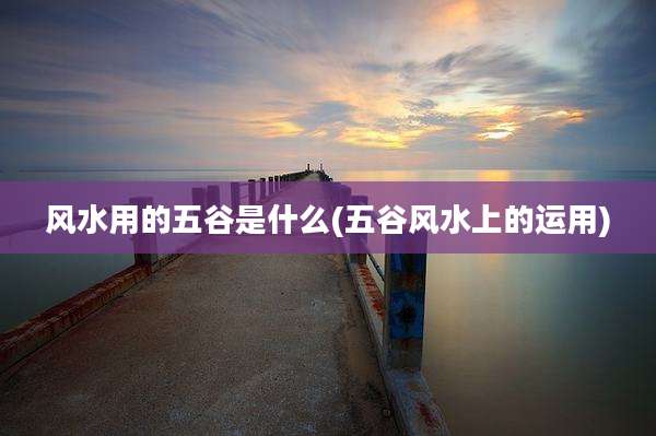 风水用的五谷是什么(五谷风水上的运用)