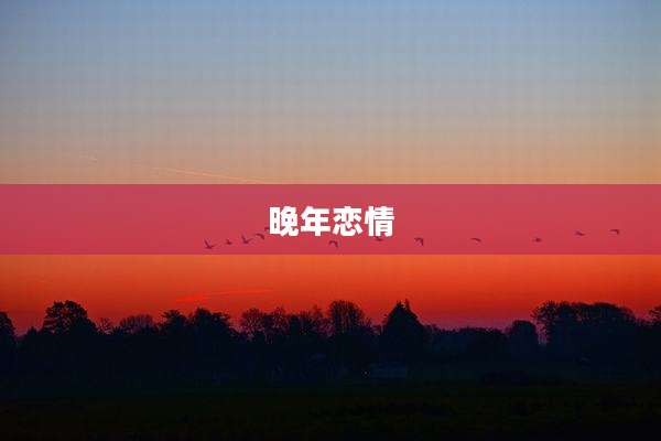 晚年恋情