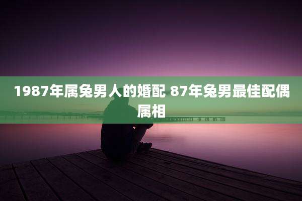 1987年属兔男人的婚配 87年兔男最佳配偶属相