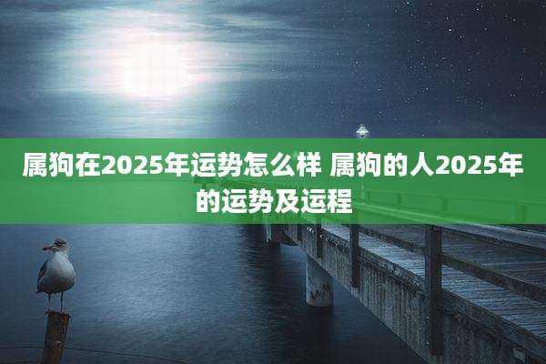 属狗在2025年运势怎么样 属狗的人2025年的运势及运程