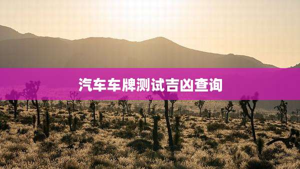 汽车车牌测试吉凶查询