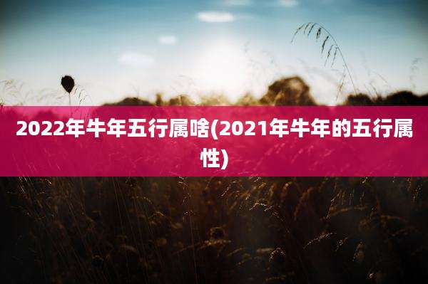 2022年牛年五行属啥(2021年牛年的五行属性)
