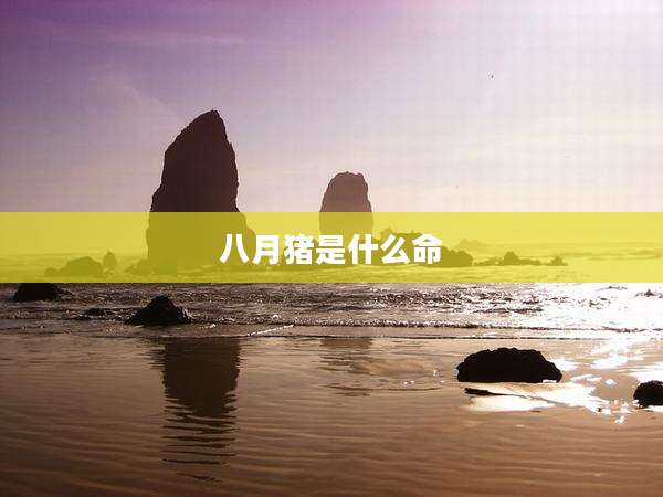 八月猪是什么命