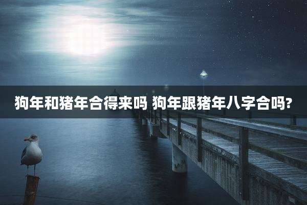 狗年和猪年合得来吗 狗年跟猪年八字合吗?