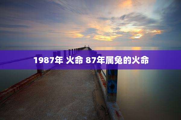 1987年 火命 87年属兔的火命