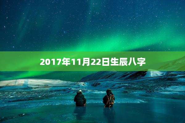 2017年11月22日生辰八字