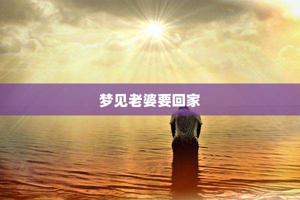 梦见老婆要回家