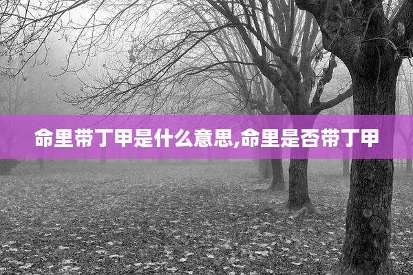 命里带丁甲是什么意思,命里是否带丁甲