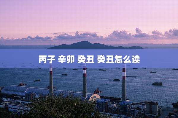 丙子 辛卯 癸丑 癸丑怎么读