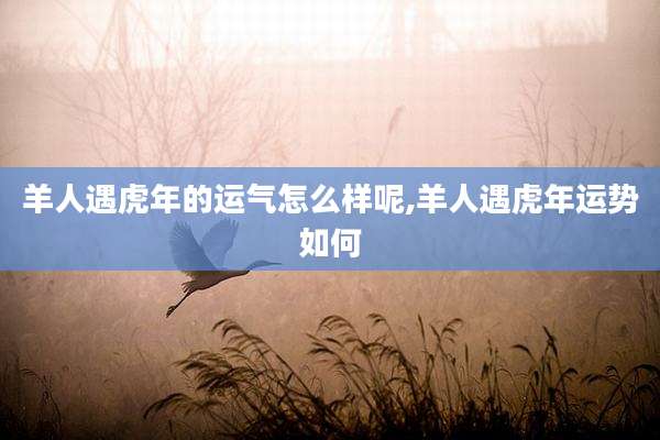 羊人遇虎年的运气怎么样呢,羊人遇虎年运势如何