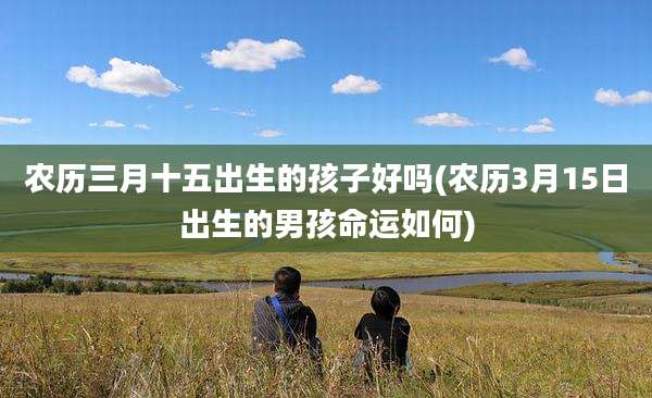 农历三月十五出生的孩子好吗(农历3月15日出生的男孩命运如何)