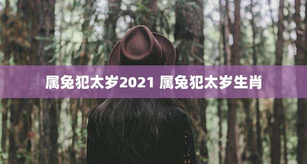 属兔犯太岁2021 属兔犯太岁生肖