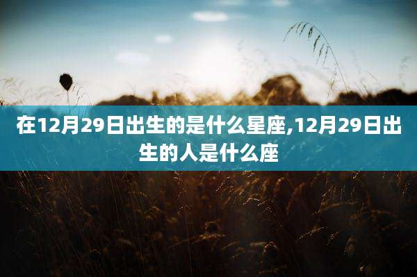 在12月29日出生的是什么星座,12月29日出生的人是什么座