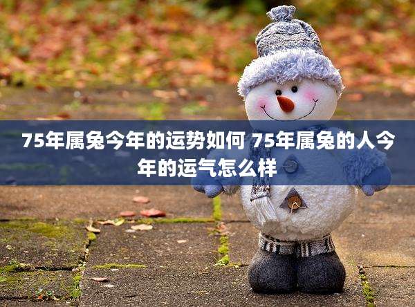 75年属兔今年的运势如何 75年属兔的人今年的运气怎么样