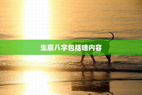 生辰八字包括啥内容