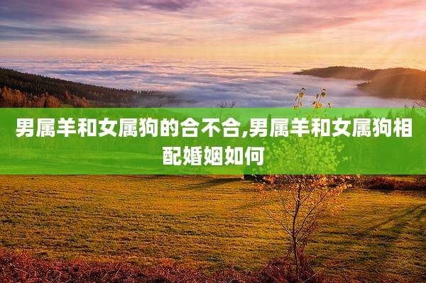 男属羊和女属狗的合不合,男属羊和女属狗相配婚姻如何