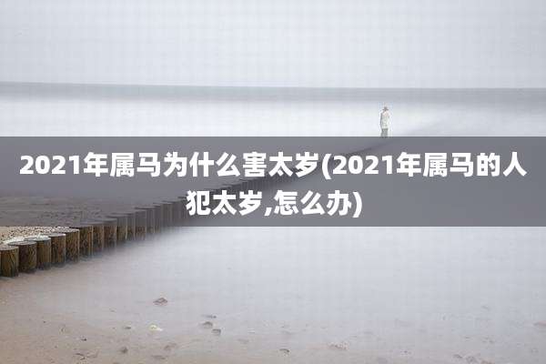 2021年属马为什么害太岁(2021年属马的人犯太岁,怎么办)